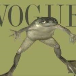 Froggy Squad!.