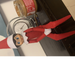 My mushroom elf
