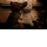 Teddy bunch