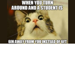 :> Memes tell me your memes :>