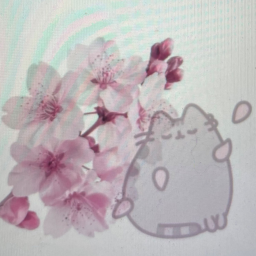 ˃◡˂