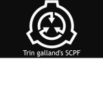 Reset's S.C.P FOUNDATION