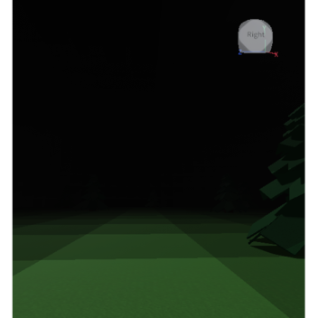 The Paranormal Forest