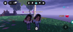 Thepinkandbluetwins
