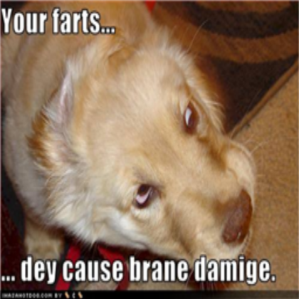 funny dog Roblox decal