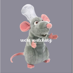 stupid rat admin game