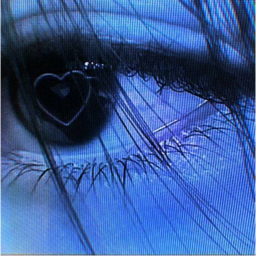 ˚⋆.˚🦋༘⋆｡˚