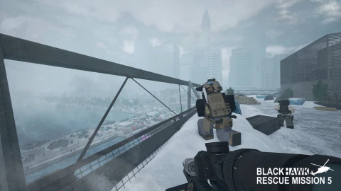 Blackhawk Rescue Mission 5