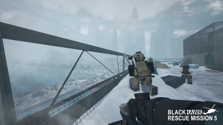 Blackhawk Rescue Mission 5