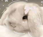 Lovely bunni