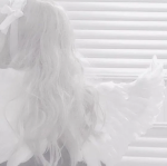 /zelo