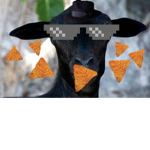 The Black Sheep