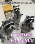 DA RACCOON friends