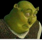 Shrek_squad