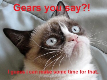 Gear testing & Insert fun!