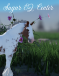 | Sugar Equestrian Center |