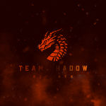 ...Team Shadow...