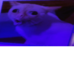 Giving robux group ye