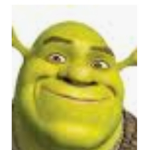 Bomgers Shrek edition