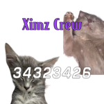 Ximz Crew