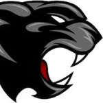 Panther Studlos