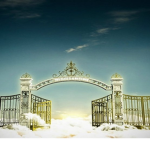 Isabella's Orphans Heaven