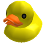 PTY_Duckling
