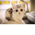 3eek~