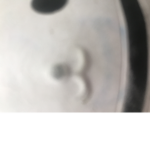 Bsjdbduf