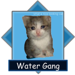 the epik water gang!1!