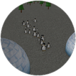 Penguin Herd