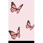 SØUR BUTTERFLY SQUÃD