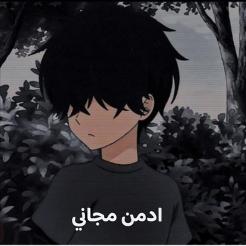 ادمن مجاني