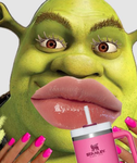 PREPPYYYYYYY SHREK
