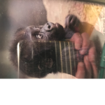 Pawprint Foundation