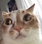 RåwR <3