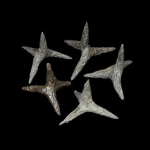 CALTROPS