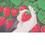 Squad of Strawberries