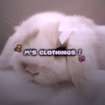 M’s Clothings;