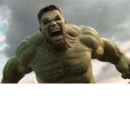 Survival The Hulk The Killer