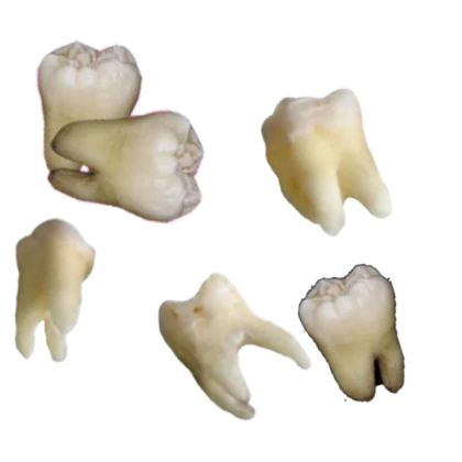 weirdcore teeth