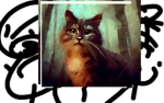 good cats experiences