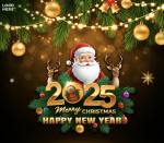 CHRISTMAS FANS,,!
