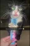 unofficial meme group