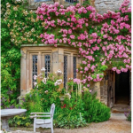 Maia's Garden Club