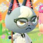 Raymond the Cat