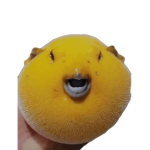 QQQ GANG