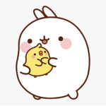 Kawaii’s sweet clothing group