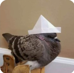 DA BIRDY GANG