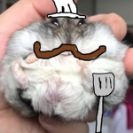 Hampsterlicous Studios